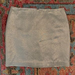 NWOT Ann Taylor Silk Silver Metallic Pencil Skirt